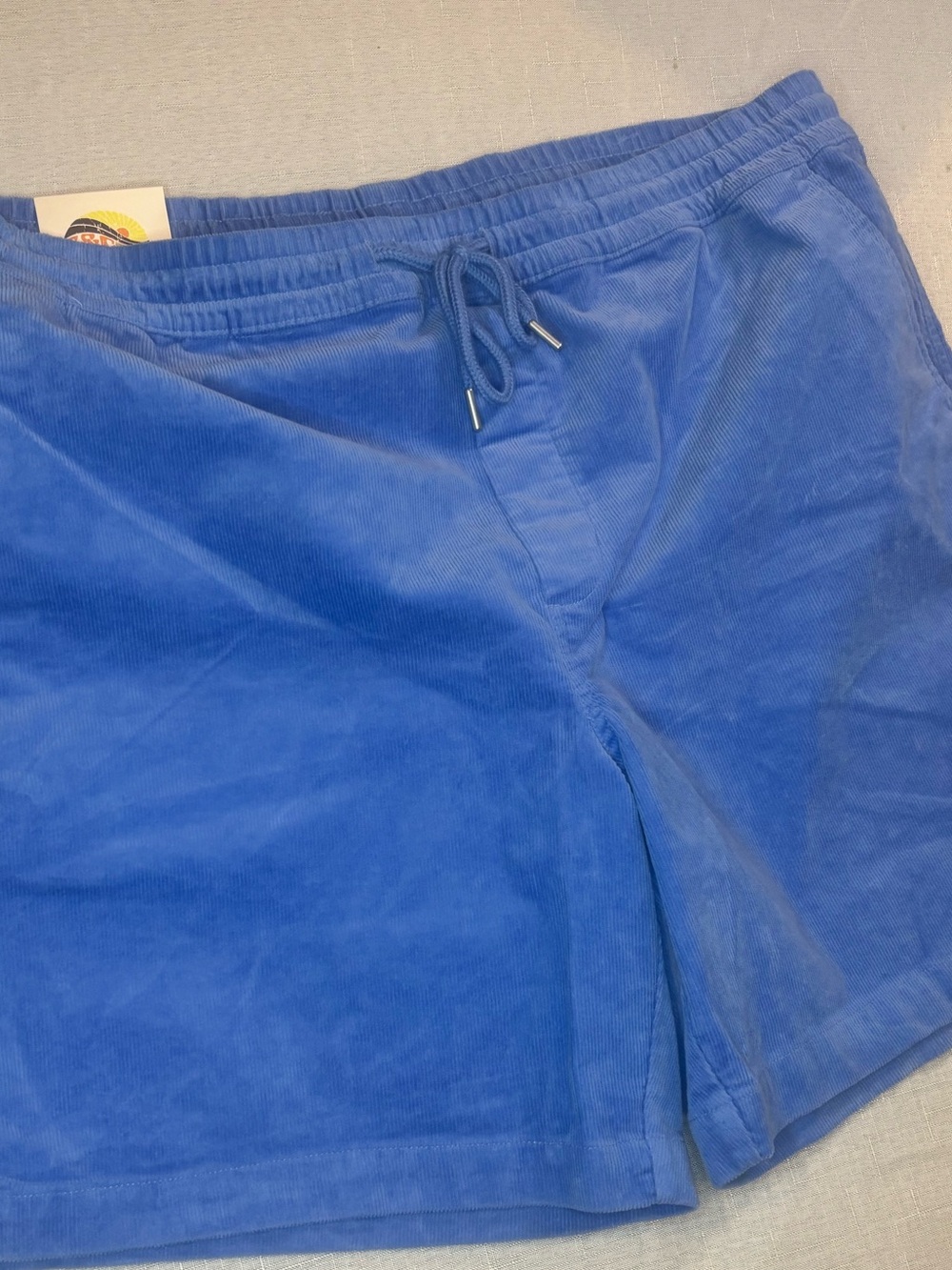 C&C California Royal Blue Corduroy Drawstring Shorts